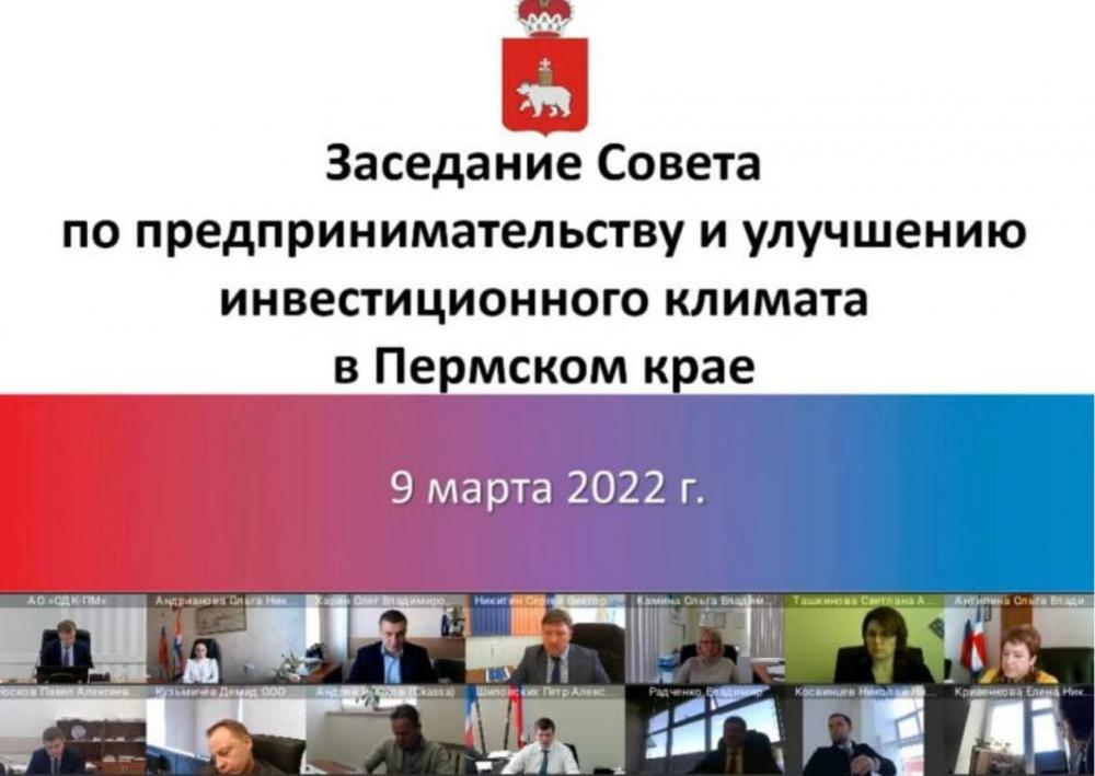 Делороссы приняли участие в заседание Совета по предпринимательству и улучшению инвестиционного климата в Пермском крае